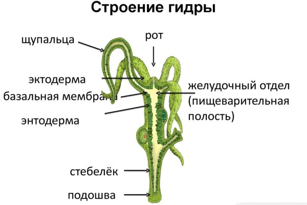 Как найти настоящую кракен даркнет ссылку