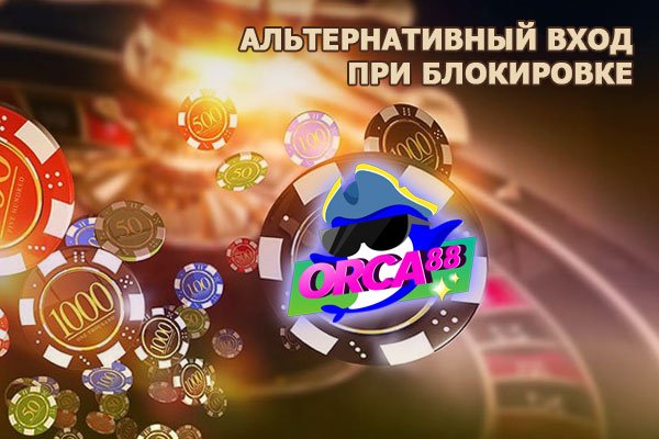 Gidra магазин