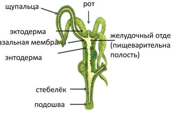 Kraken 13 at сайт