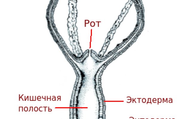 Кракен ссылка kraken dark link