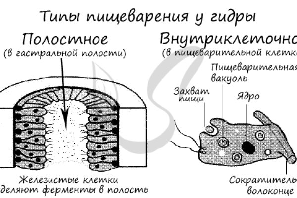 Кракен это современный даркнет