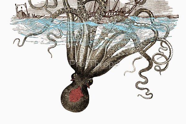 Kraken 18at