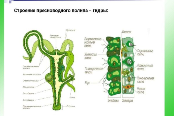 Войти даркнет