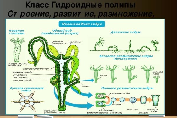 Кракен дарк оригинал ссылка