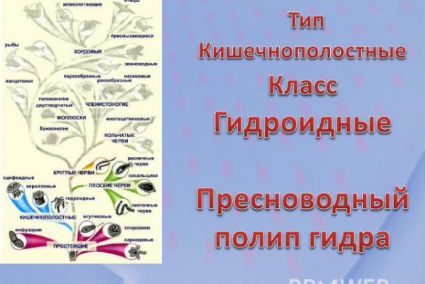 Кракен что это магазин