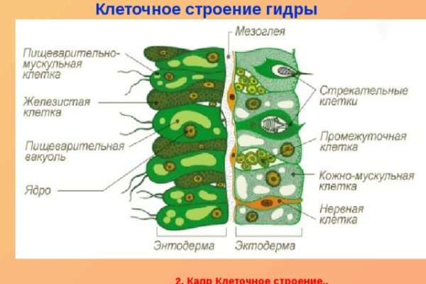 Гидра зайти кракен