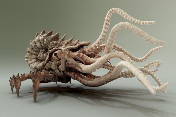 Kraken 12 at сайт