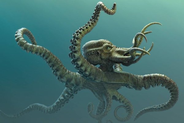 Kraken ссылка kraken clear com