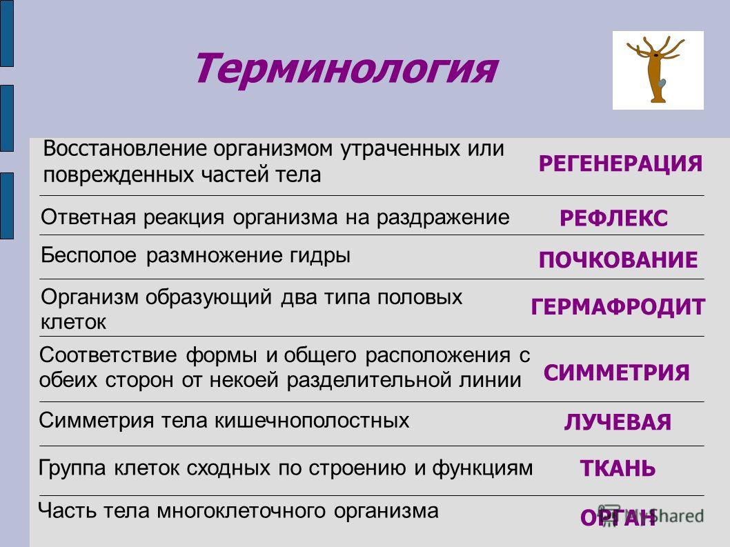 Kra34at
