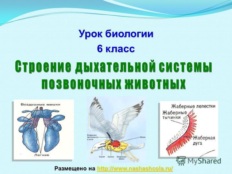 Кракен сайт krakens13 at